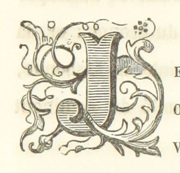An illustration from Voyage aux pays aurifères, Afrique, Mexique, Californie, Pérou, Chili, Nouvelle-Calédonie, Australie, Russie ... illustré par J. B. Arnout, père, 1855, leaf 37
