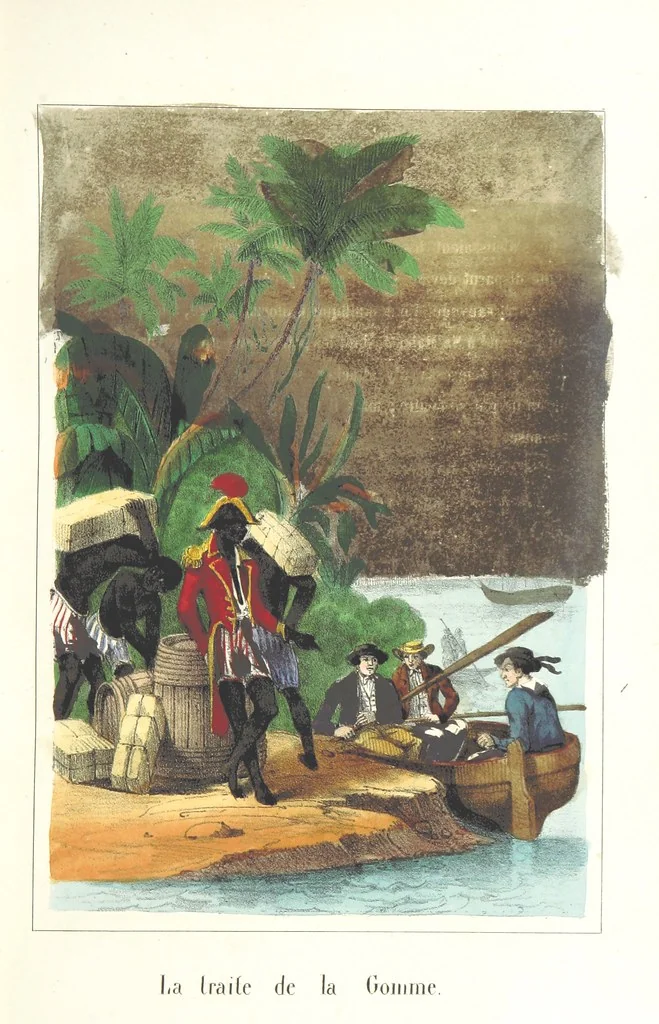An illustration from Voyage aux pays aurifères, Afrique, Mexique, Californie, Pérou, Chili, Nouvelle-Calédonie, Australie, Russie ... illustré par J. B. Arnout, père, 1855, leaf 51
