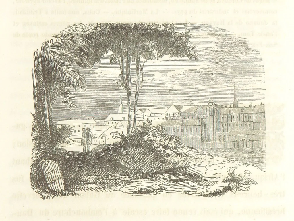 An illustration from Voyage aux pays aurifères, Afrique, Mexique, Californie, Pérou, Chili, Nouvelle-Calédonie, Australie, Russie ... illustré par J. B. Arnout, père, 1855, leaf 61