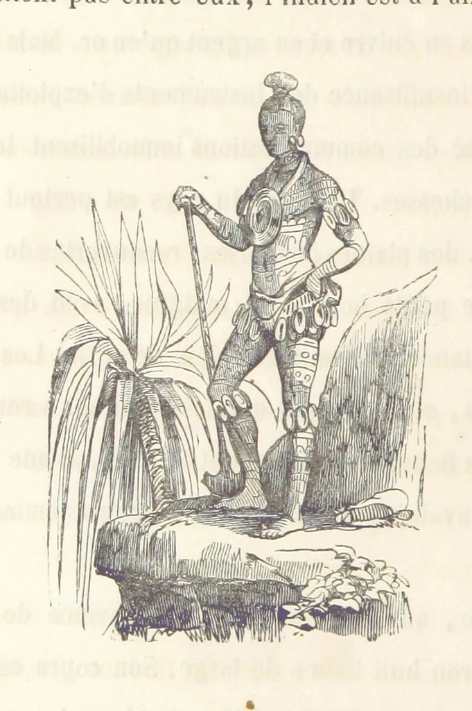 An illustration from Voyage aux pays aurifères, Afrique, Mexique, Californie, Pérou, Chili, Nouvelle-Calédonie, Australie, Russie ... illustré par J. B. Arnout, père, 1855, leaf 72