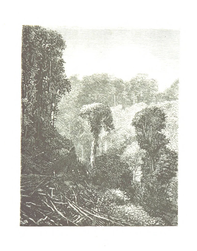 An illustration from De Paris a Guatémala. Notes de voyages au Centre-Amérique 1866-1875 ... Illustré de 35 planches. Dessins de M. E. A. Guillon, 1877, leaf 105