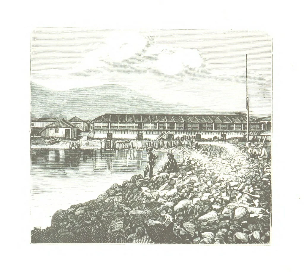 An illustration from De Paris a Guatémala. Notes de voyages au Centre-Amérique 1866-1875 ... Illustré de 35 planches. Dessins de M. E. A. Guillon, 1877, leaf 153