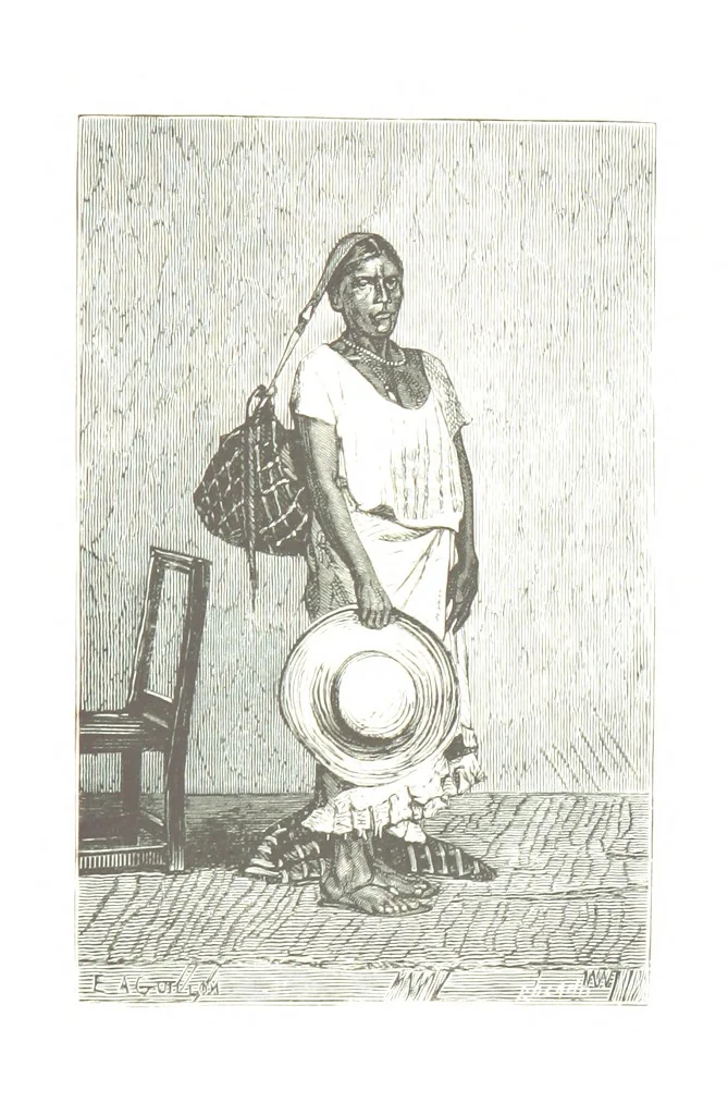 An illustration from De Paris a Guatémala. Notes de voyages au Centre-Amérique 1866-1875 ... Illustré de 35 planches. Dessins de M. E. A. Guillon, 1877, leaf 165
