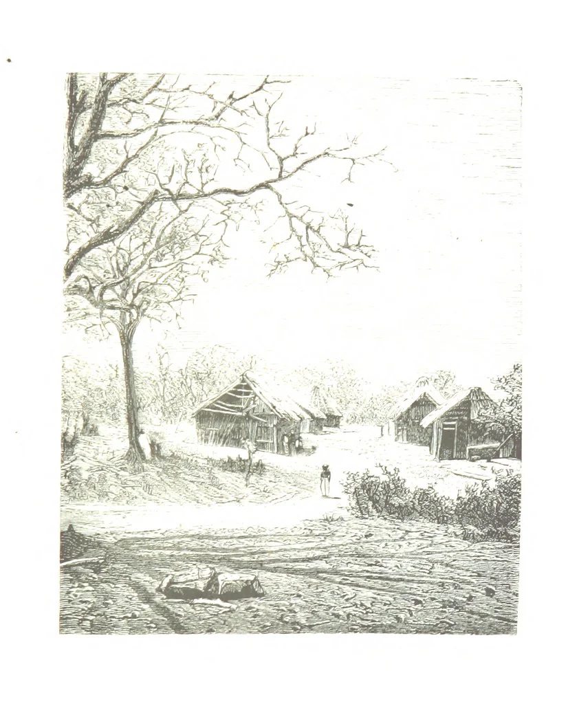 An illustration from De Paris a Guatémala. Notes de voyages au Centre-Amérique 1866-1875 ... Illustré de 35 planches. Dessins de M. E. A. Guillon, 1877, leaf 205