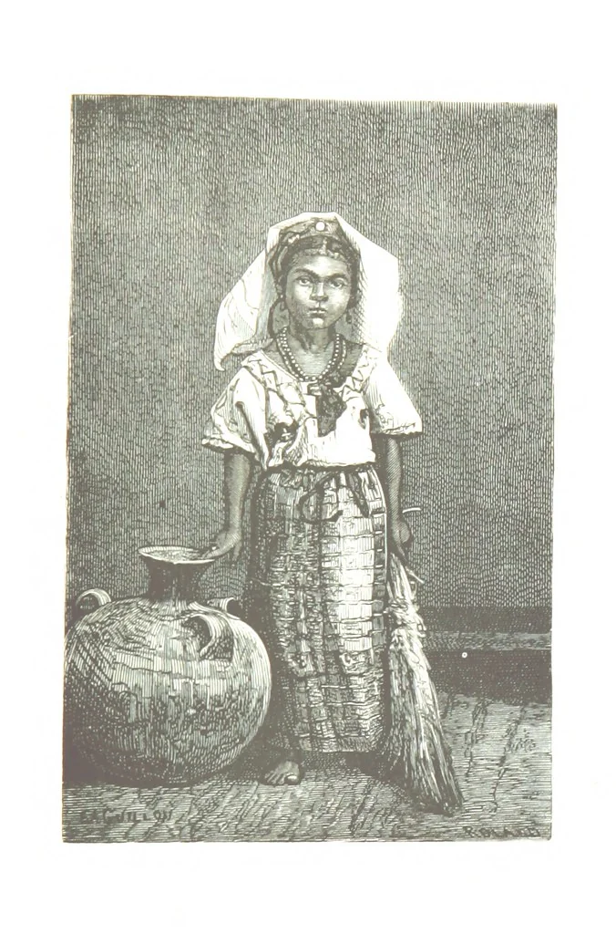 An illustration from De Paris a Guatémala. Notes de voyages au Centre-Amérique 1866-1875 ... Illustré de 35 planches. Dessins de M. E. A. Guillon, 1877, leaf 295