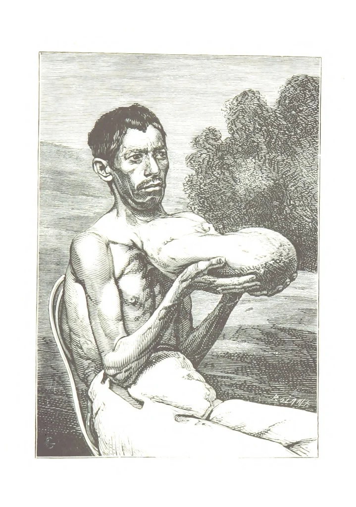 An illustration from De Paris a Guatémala. Notes de voyages au Centre-Amérique 1866-1875 ... Illustré de 35 planches. Dessins de M. E. A. Guillon, 1877, leaf 303