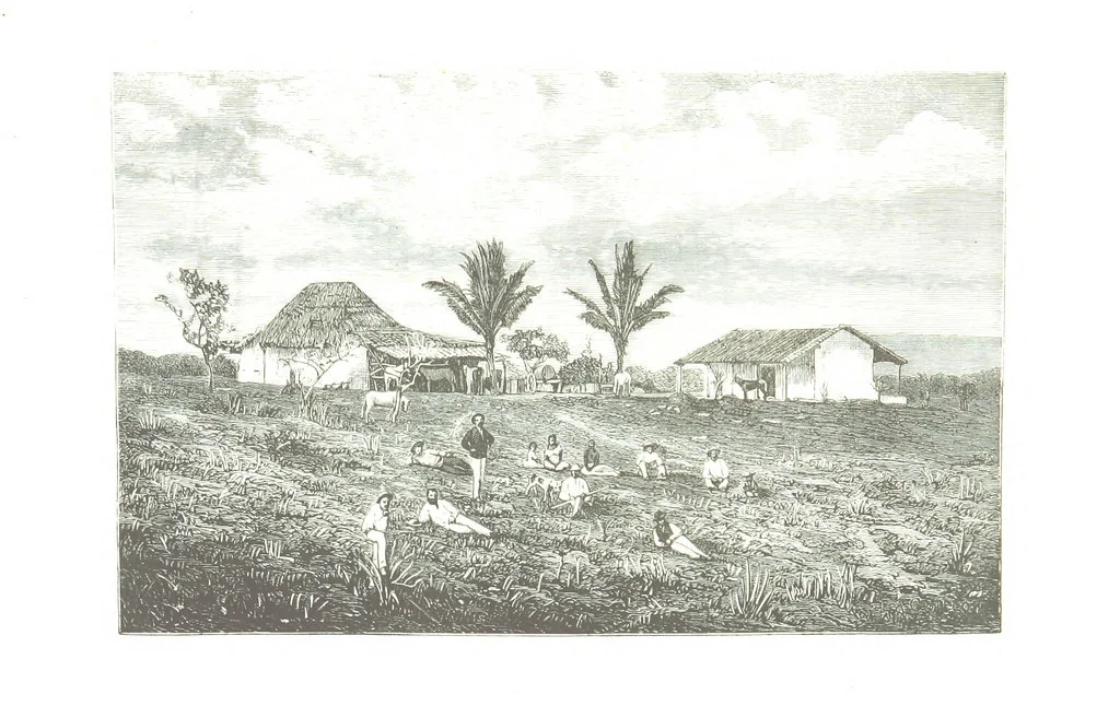 An illustration from De Paris a Guatémala. Notes de voyages au Centre-Amérique 1866-1875 ... Illustré de 35 planches. Dessins de M. E. A. Guillon, 1877, leaf 315