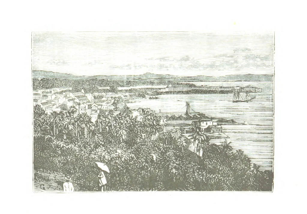 An illustration from De Paris a Guatémala. Notes de voyages au Centre-Amérique 1866-1875 ... Illustré de 35 planches. Dessins de M. E. A. Guillon, 1877, leaf 383