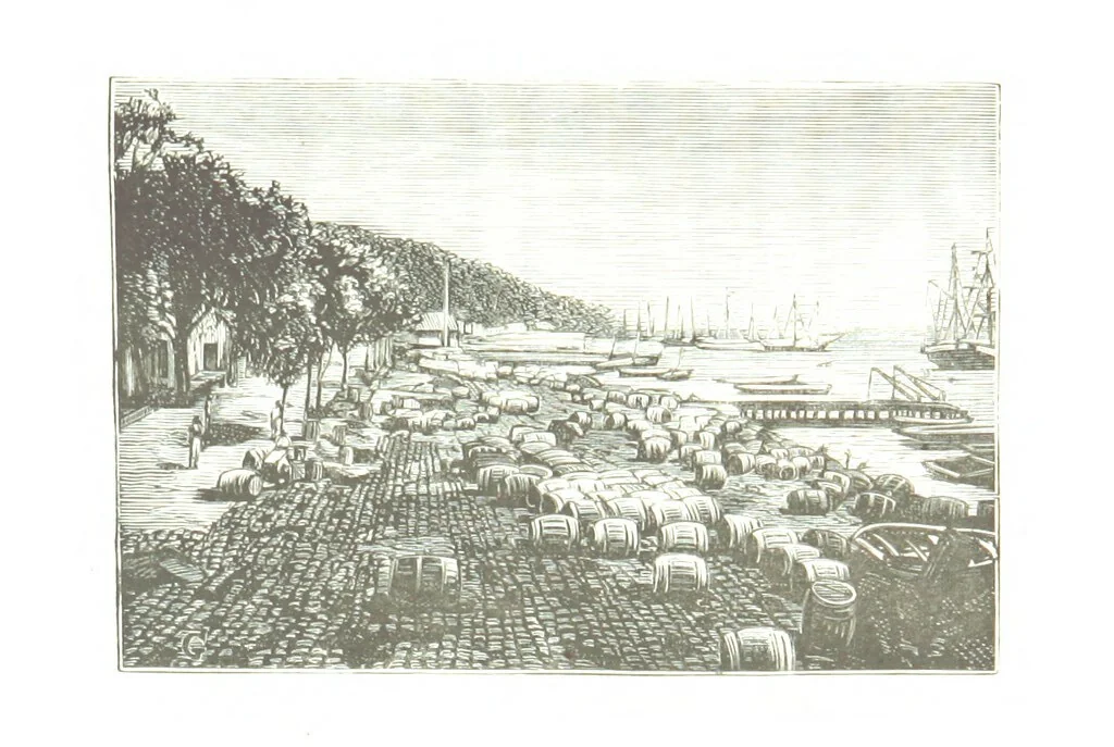 An illustration from De Paris a Guatémala. Notes de voyages au Centre-Amérique 1866-1875 ... Illustré de 35 planches. Dessins de M. E. A. Guillon, 1877, leaf 391