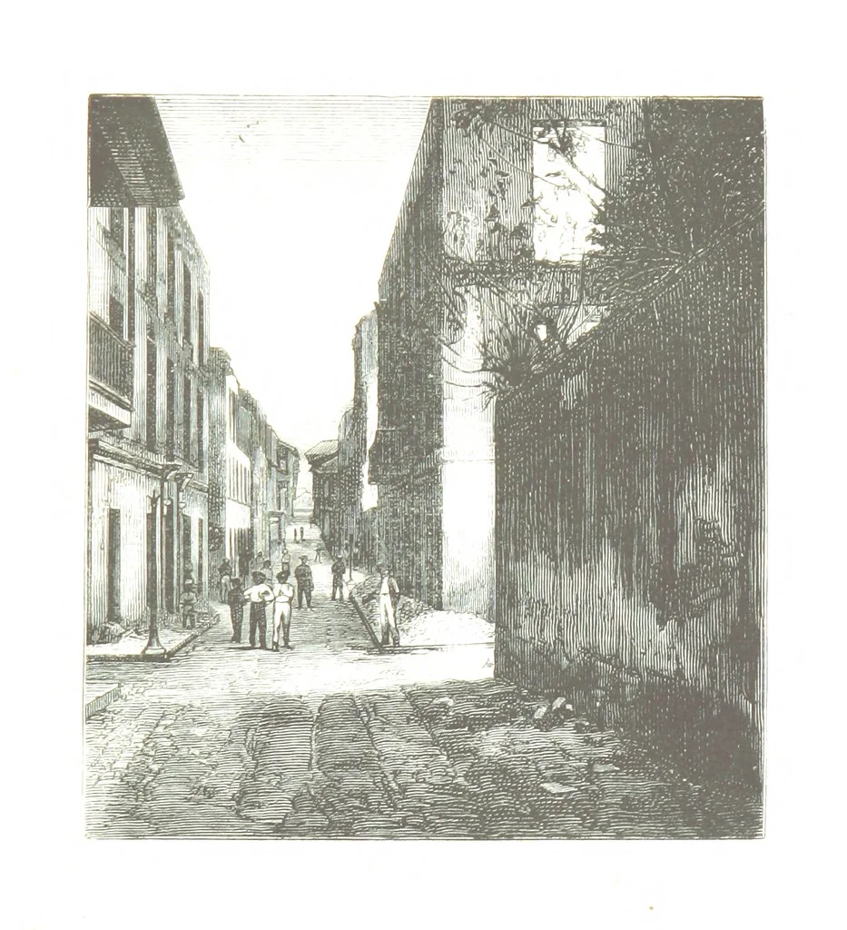 An illustration from De Paris a Guatémala. Notes de voyages au Centre-Amérique 1866-1875 ... Illustré de 35 planches. Dessins de M. E. A. Guillon, 1877, leaf 55