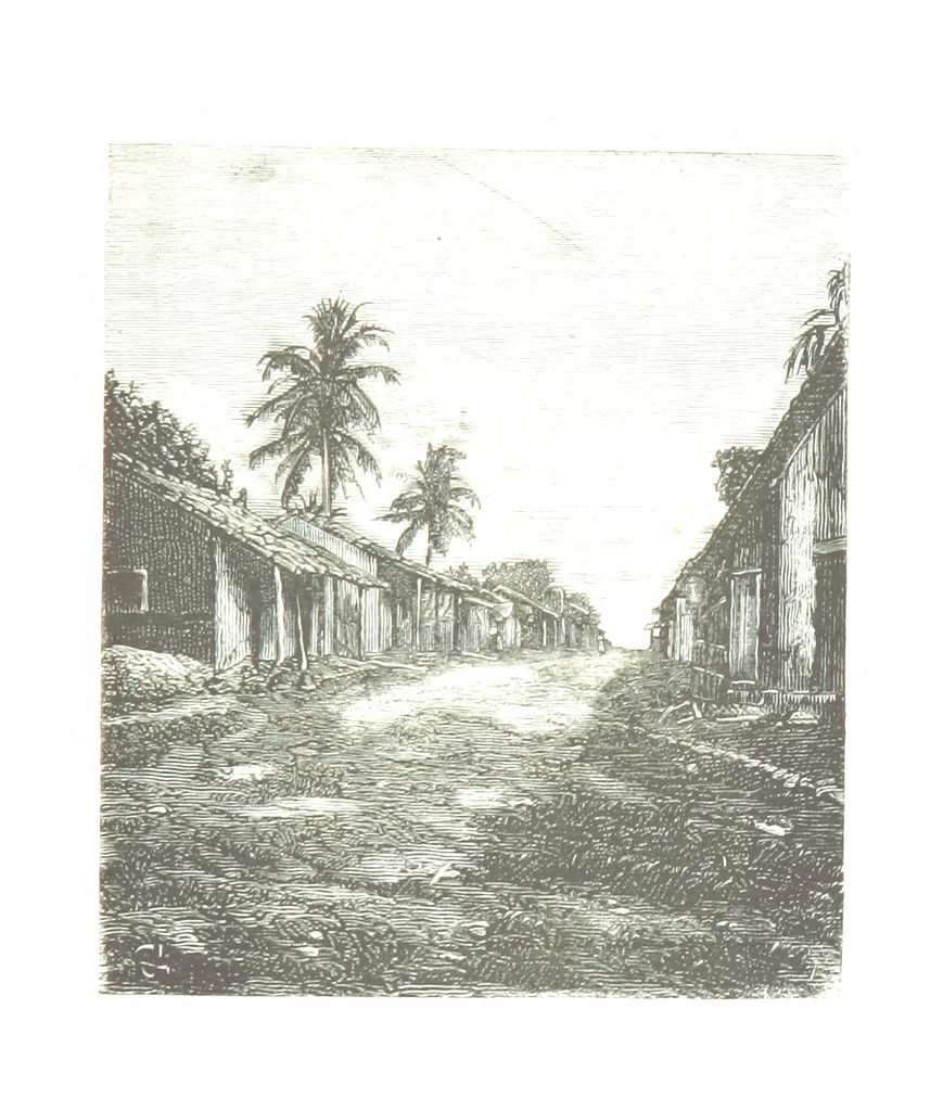 An illustration from De Paris a Guatémala. Notes de voyages au Centre-Amérique 1866-1875 ... Illustré de 35 planches. Dessins de M. E. A. Guillon, 1877, leaf 85