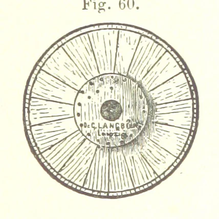 An illustration from A complete Treatise on the Electro-deposition of Metals ... Translated from the German of Dr. G. Langbein ... with additions by William T. Brannt ... Illustrated, etc, 1891, leaf 125
