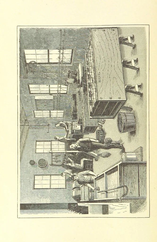 An illustration from A complete Treatise on the Electro-deposition of Metals ... Translated from the German of Dr. G. Langbein ... with additions by William T. Brannt ... Illustrated, etc, 1891, leaf 8
