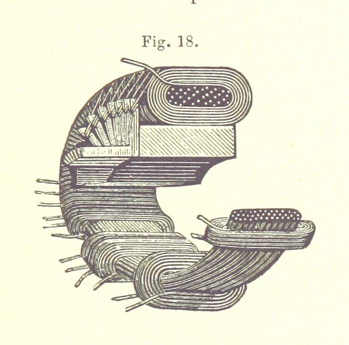 An illustration from A complete Treatise on the Electro-deposition of Metals ... Translated from the German of Dr. G. Langbein ... with additions by William T. Brannt ... Illustrated, etc, 1891, leaf 81