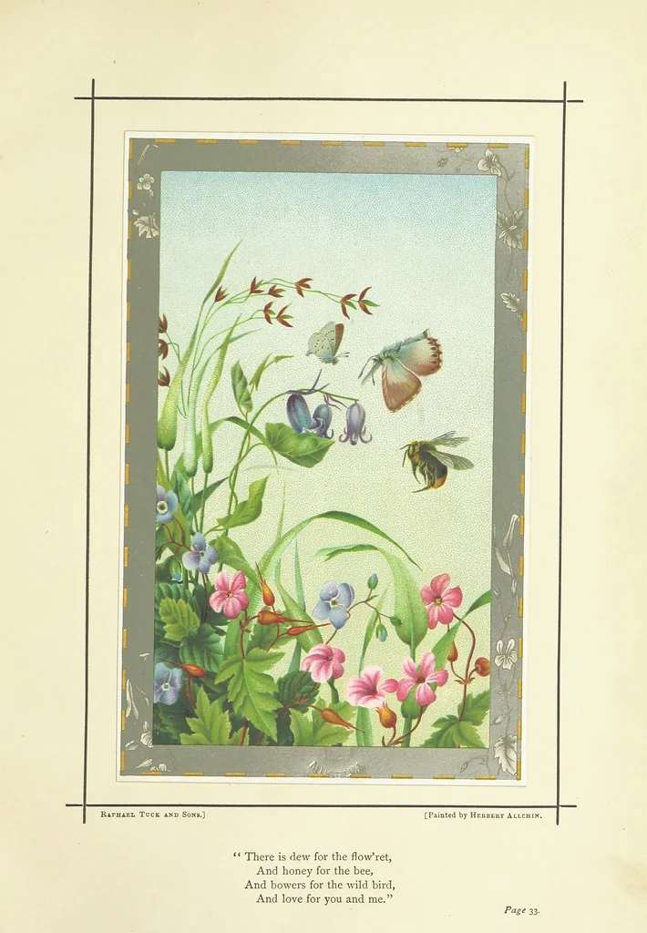 An illustration from Love-Knots and Bridal-Bands: poems and rhymes of wooing and wedding, and valentine verses. Selected ... by F. L. ... With sixteen coloured illustrations by G. D. Leslie, ... W. F. Yeames, etc, 1883, leaf 65