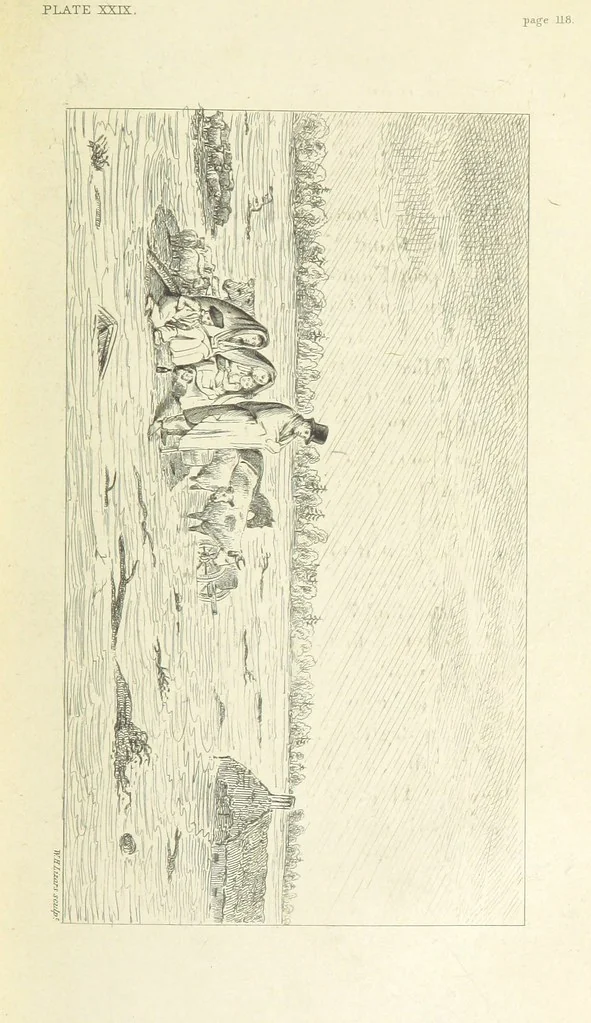 An illustration from An Account of the great Floods of August 1829, in the Province of Moray, and adjoining districts, 1830, leaf 187