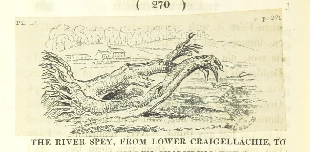 An illustration from An Account of the great Floods of August 1829, in the Province of Moray, and adjoining districts, 1830, leaf 372