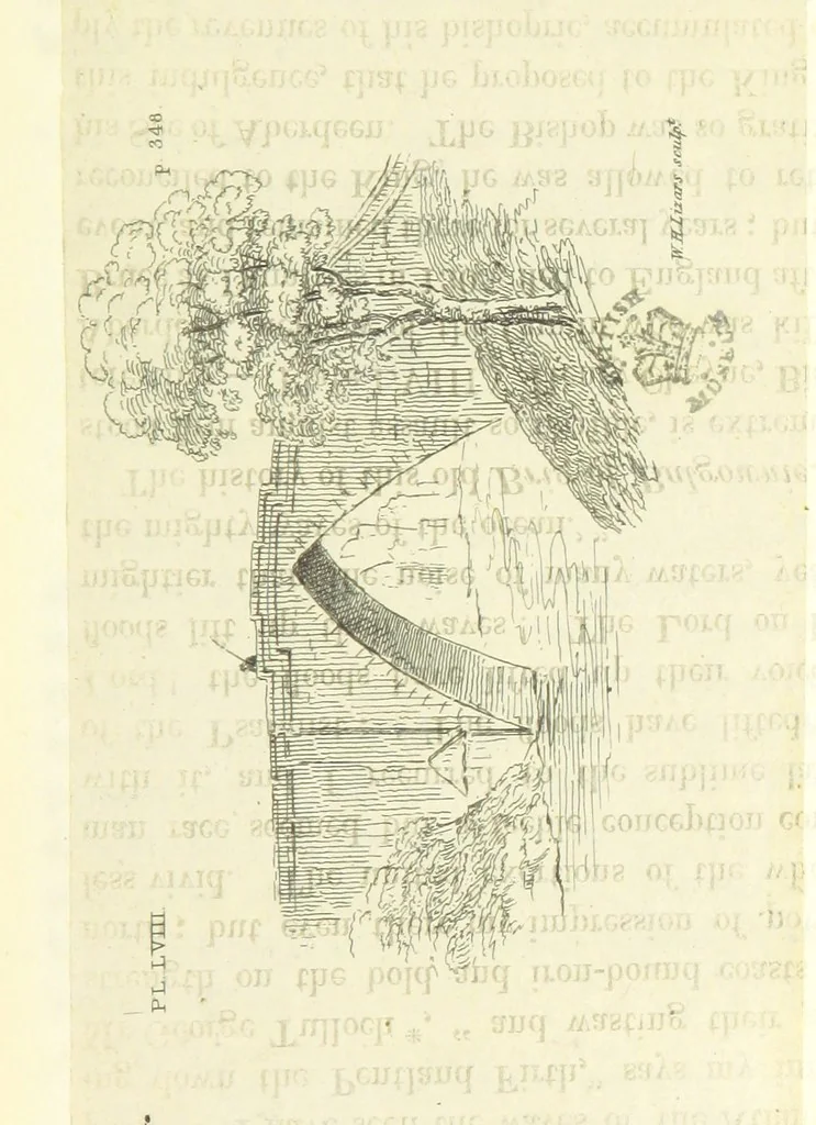 An illustration from An Account of the great Floods of August 1829, in the Province of Moray, and adjoining districts, 1830, leaf 459