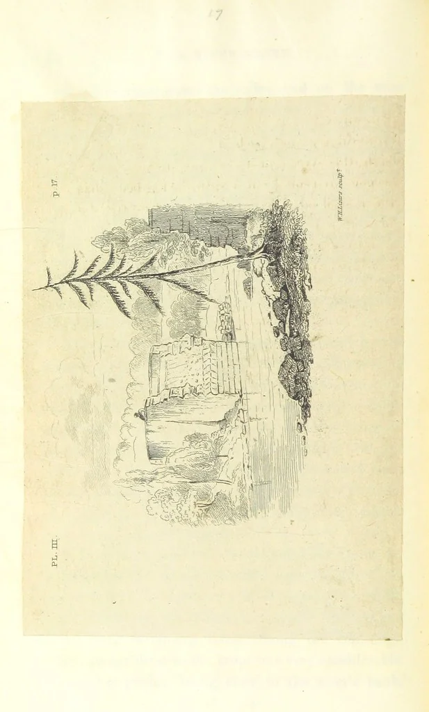 An illustration from An Account of the great Floods of August 1829, in the Province of Moray, and adjoining districts, 1830, leaf 50