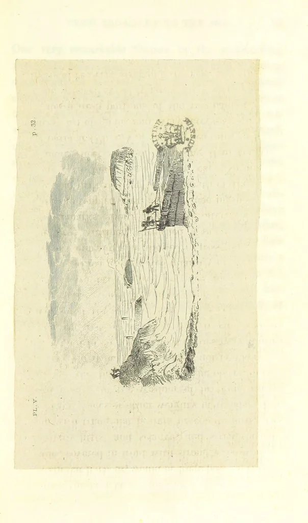 An illustration from An Account of the great Floods of August 1829, in the Province of Moray, and adjoining districts, 1830, leaf 69