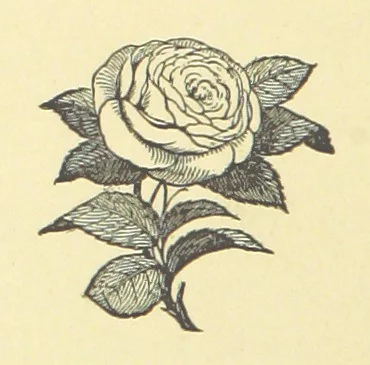 An illustration from Warblin's fro' an Owd Songster. With an introductory sketch by W. Trevor. [Illustrated, 1893, leaf 264