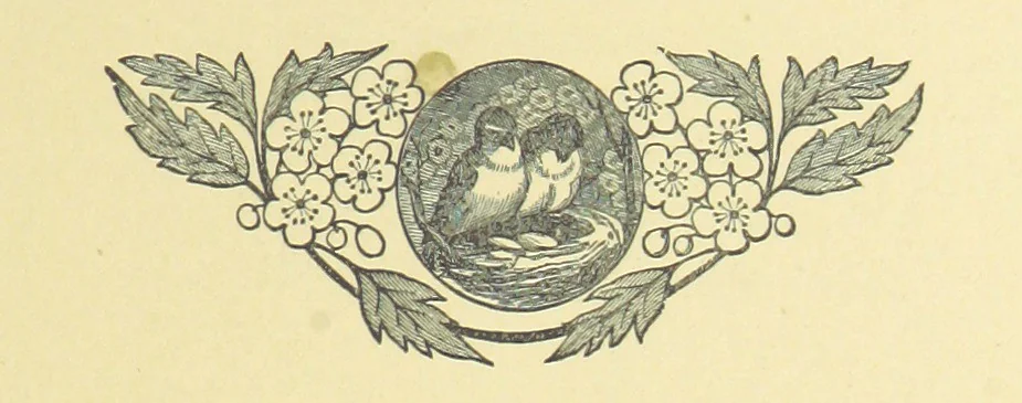 An illustration from Warblin's fro' an Owd Songster. With an introductory sketch by W. Trevor. [Illustrated, 1893, leaf 265