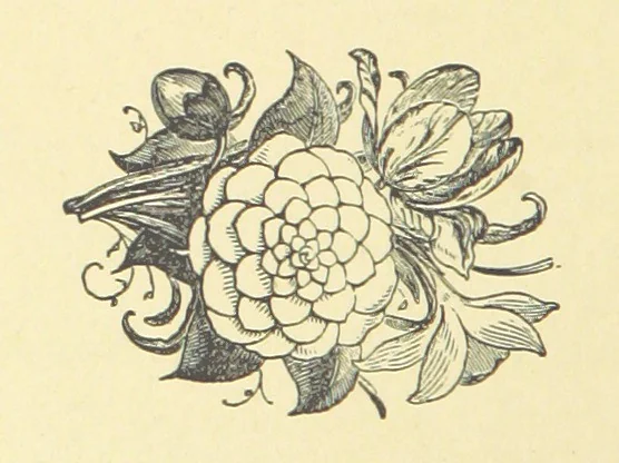An illustration from Warblin's fro' an Owd Songster. With an introductory sketch by W. Trevor. [Illustrated, 1893, leaf 34