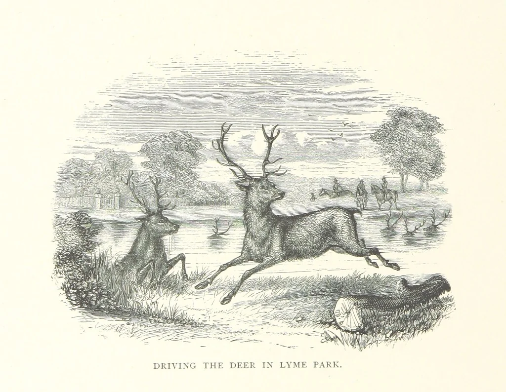 An illustration from Ballads and Legends of Cheshire. [Collected and edited by E. L., with illustrations.] L.P, 1867, leaf 60
