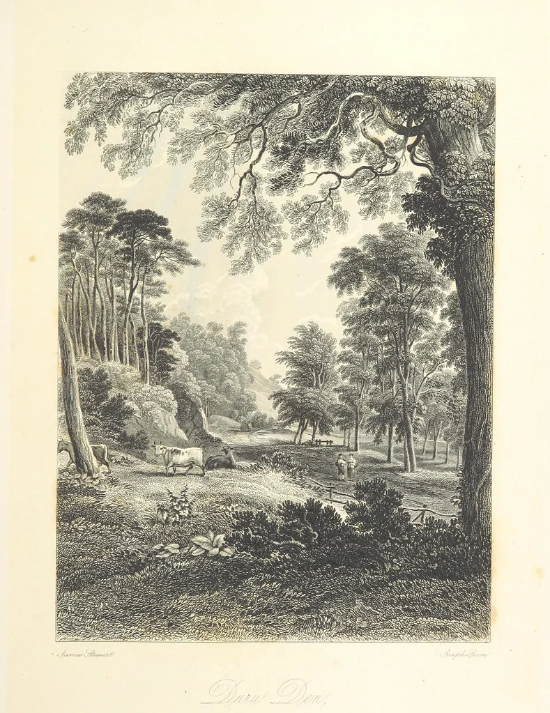 An illustration from History of the County of Fife, from the earliest period to the present time ... With numerous engravings ... on steel ... from original drawings ... by J. Stewart, 1840, leaf 111