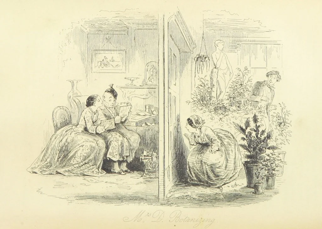 An illustration from The Dodd Family Abroad. ... With illustrations by Phiz [i.e. H. K. Browne, 1854, leaf 232