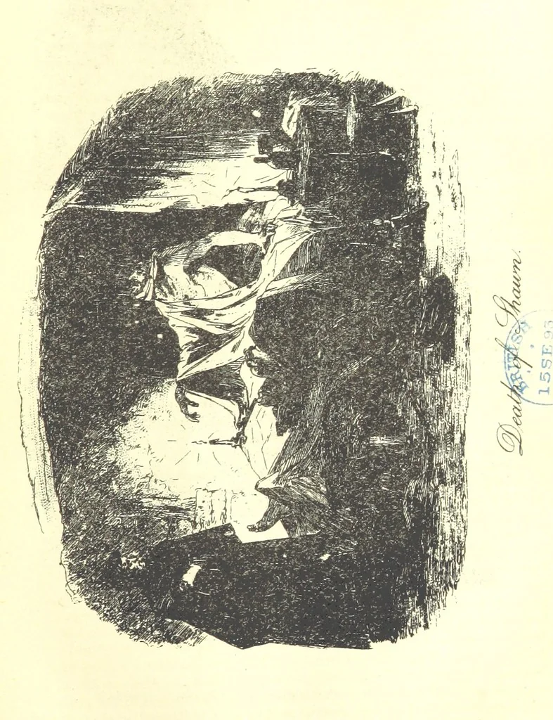 An illustration from Jack Hinton, etc, 1893, leaf 245