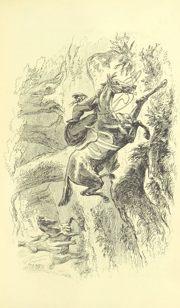 An illustration from Luttrell of Arran. ... With illustrations by “Phiz” [i.e. H. K. Browne, 1865, leaf 349
