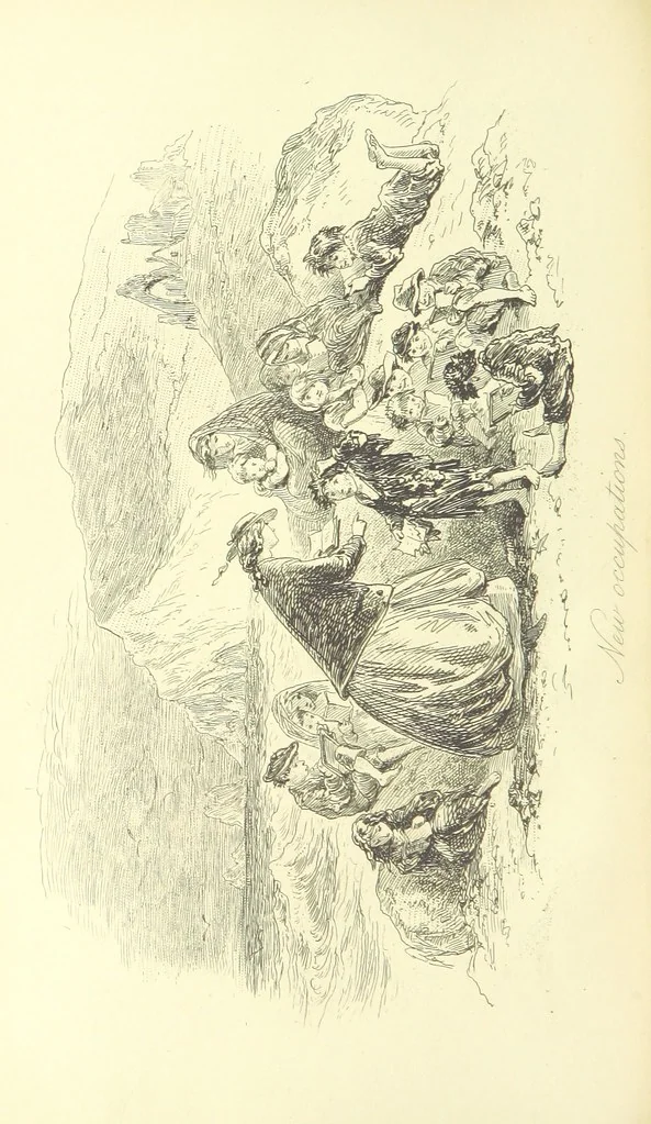 An illustration from Luttrell of Arran. ... With illustrations by “Phiz” [i.e. H. K. Browne, 1865, leaf 452