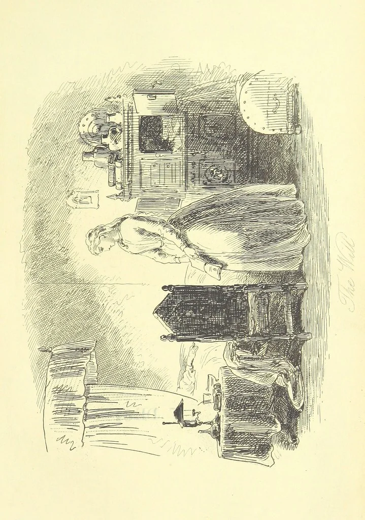 An illustration from Luttrell of Arran. ... With illustrations by “Phiz” [i.e. H. K. Browne, 1865, leaf 533