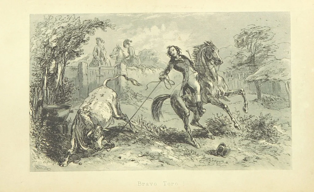 An illustration from Roland Cashel. With illustrations by Phiz [i.e. H. K. Browne, 1850, leaf 104