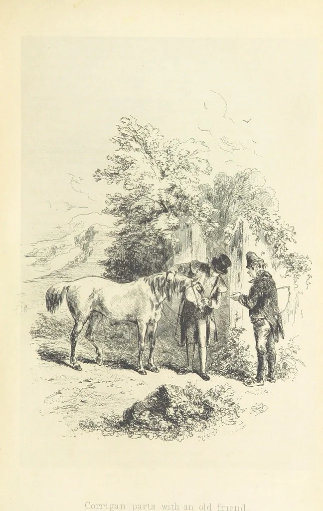 An illustration from Roland Cashel. With illustrations by Phiz [i.e. H. K. Browne, 1850, leaf 395
