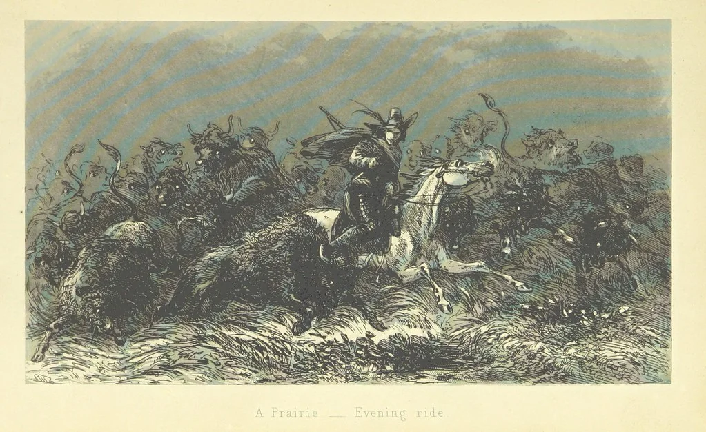 An illustration from Roland Cashel. With illustrations by Phiz [i.e. H. K. Browne, 1850, leaf 95