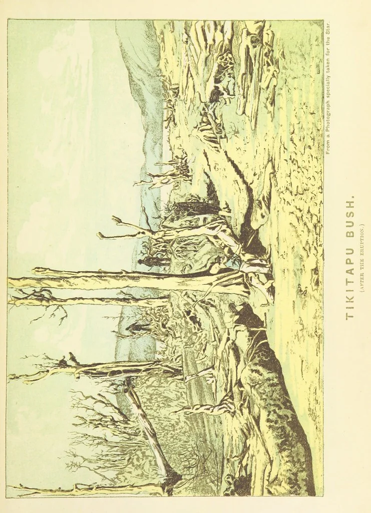 An illustration from A Weird Region. New Zealand lakes, terraces, geysers and volcanoes. [Illustrated, 1887, leaf 79