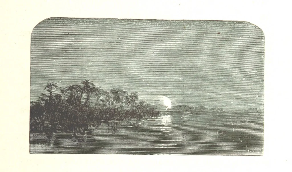 An illustration from L'Espace céleste et la nature tropicale, description physique de l'univers ... préface de M. Babinet, dessins de Yan' Dargent, 1866, leaf 153