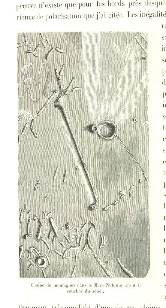 An illustration from L'Espace céleste et la nature tropicale, description physique de l'univers ... préface de M. Babinet, dessins de Yan' Dargent, 1866, leaf 174