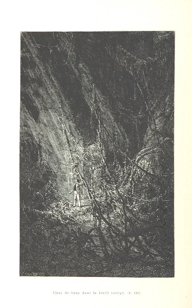 An illustration from L'Espace céleste et la nature tropicale, description physique de l'univers ... préface de M. Babinet, dessins de Yan' Dargent, 1866, leaf 180