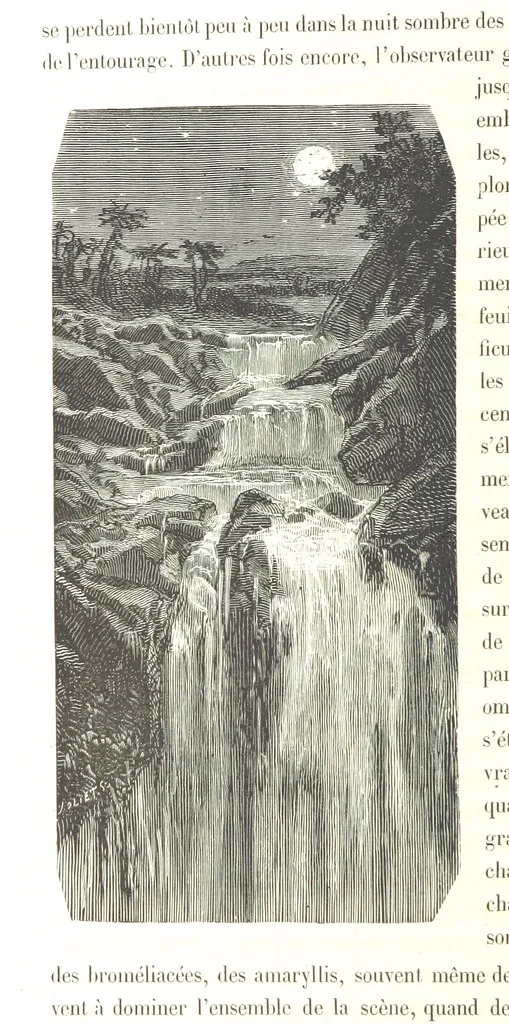 An illustration from L'Espace céleste et la nature tropicale, description physique de l'univers ... préface de M. Babinet, dessins de Yan' Dargent, 1866, leaf 182