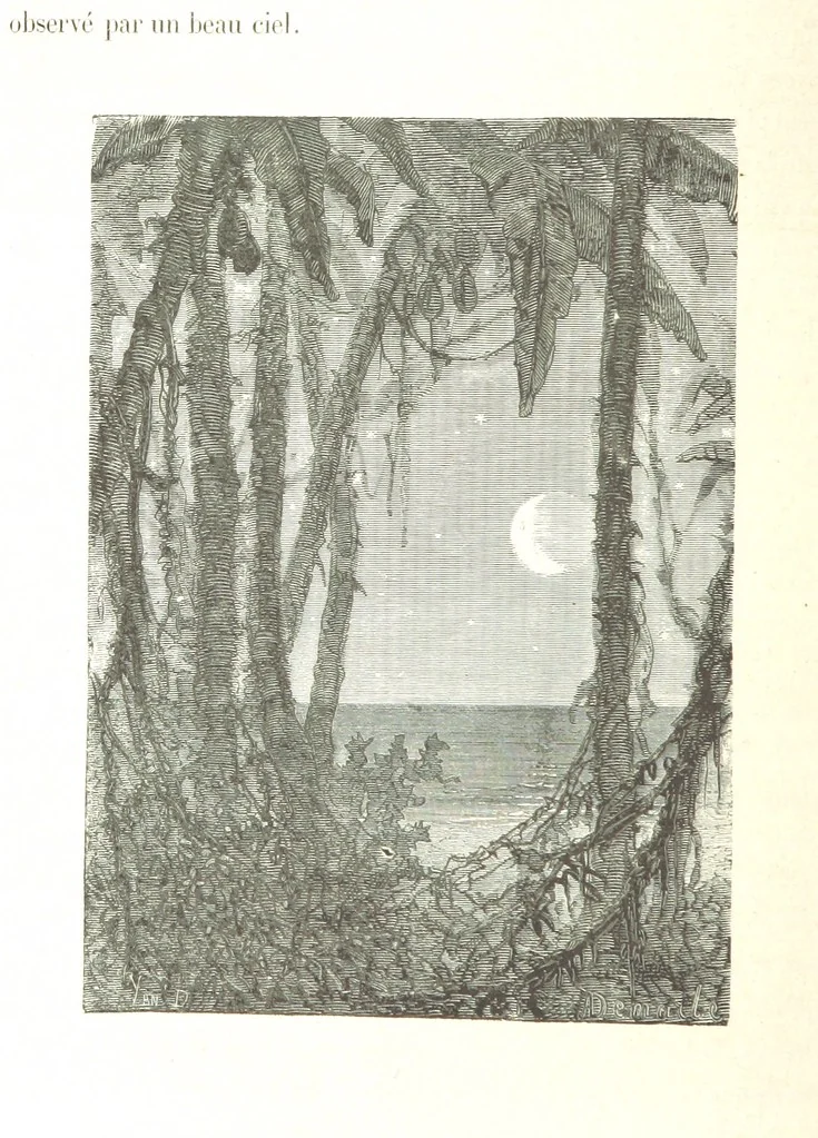 An illustration from L'Espace céleste et la nature tropicale, description physique de l'univers ... préface de M. Babinet, dessins de Yan' Dargent, 1866, leaf 198