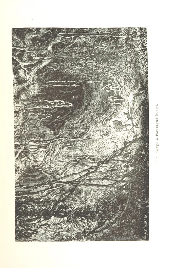 An illustration from L'Espace céleste et la nature tropicale, description physique de l'univers ... préface de M. Babinet, dessins de Yan' Dargent, 1866, leaf 207