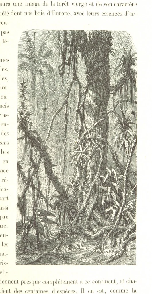 An illustration from L'Espace céleste et la nature tropicale, description physique de l'univers ... préface de M. Babinet, dessins de Yan' Dargent, 1866, leaf 209