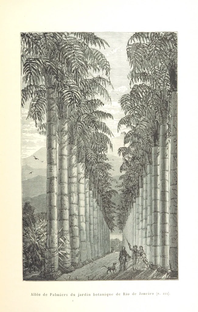 An illustration from L'Espace céleste et la nature tropicale, description physique de l'univers ... préface de M. Babinet, dessins de Yan' Dargent, 1866, leaf 271