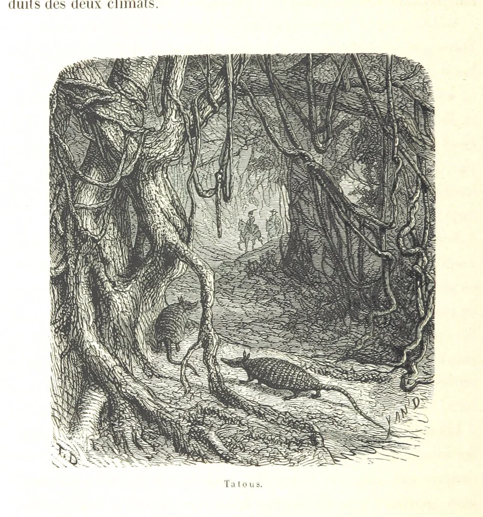 An illustration from L'Espace céleste et la nature tropicale, description physique de l'univers ... préface de M. Babinet, dessins de Yan' Dargent, 1866, leaf 288