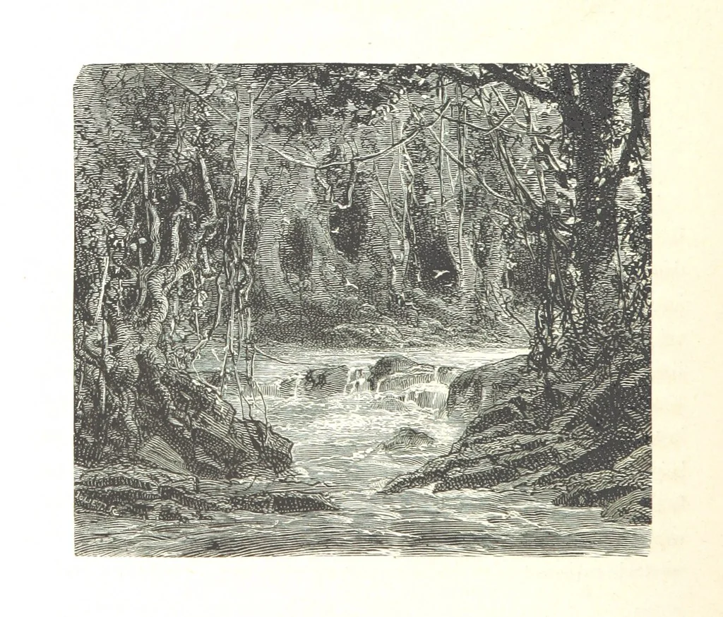 An illustration from L'Espace céleste et la nature tropicale, description physique de l'univers ... préface de M. Babinet, dessins de Yan' Dargent, 1866, leaf 290