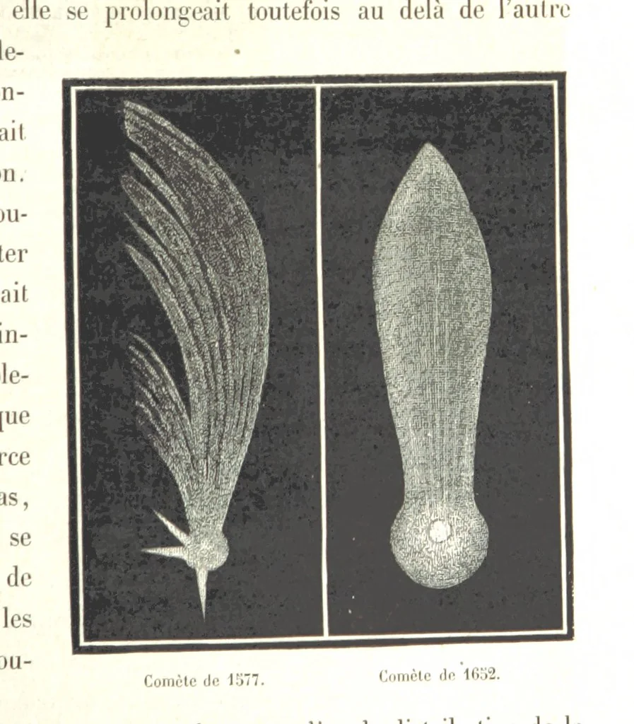 An illustration from L'Espace céleste et la nature tropicale, description physique de l'univers ... préface de M. Babinet, dessins de Yan' Dargent, 1866, leaf 305