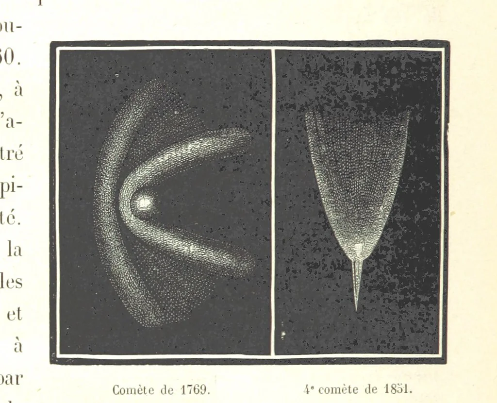 An illustration from L'Espace céleste et la nature tropicale, description physique de l'univers ... préface de M. Babinet, dessins de Yan' Dargent, 1866, leaf 306